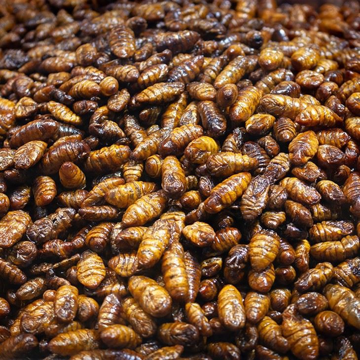 Silkworm Chrysalis Peptide For Skin